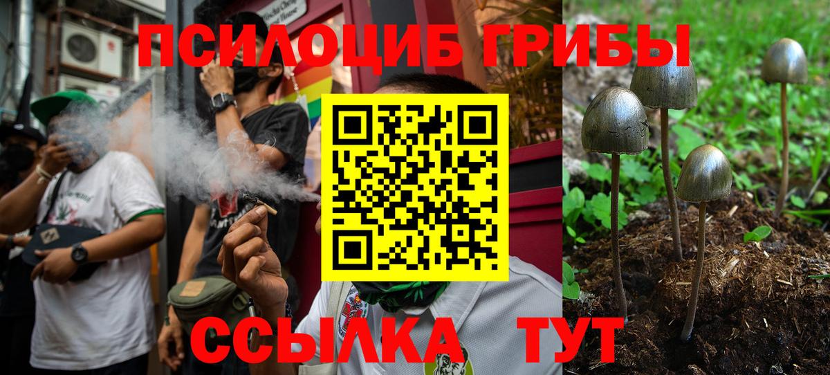 Псилоцибиновые грибы MAGIC MUSHROOMS  Галлюциногенные грибы GOLDEN TEACHER  Острогожск  Вход с VPN 